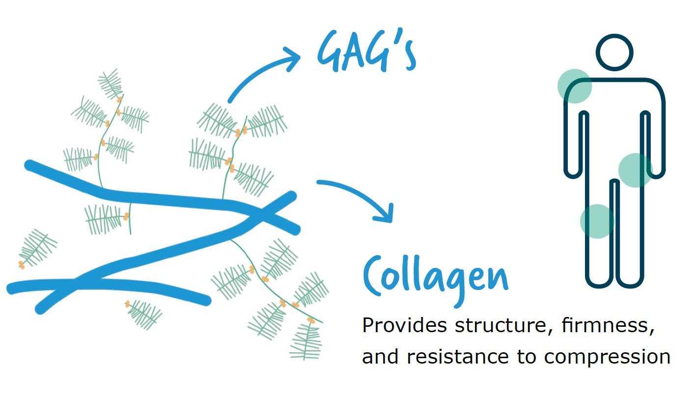 Colartix_collagen_gags_cartilage
